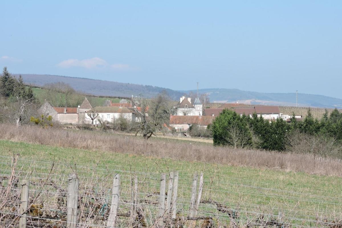 Gite Du Vigneron Chassey-le-Camp Esterno foto
